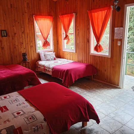 Miriam'S Quetzals Lodge San Gerardo de Dota Extérieur photo