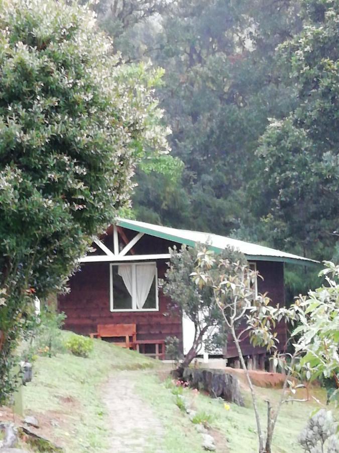 Miriam'S Quetzals Lodge San Gerardo de Dota Extérieur photo