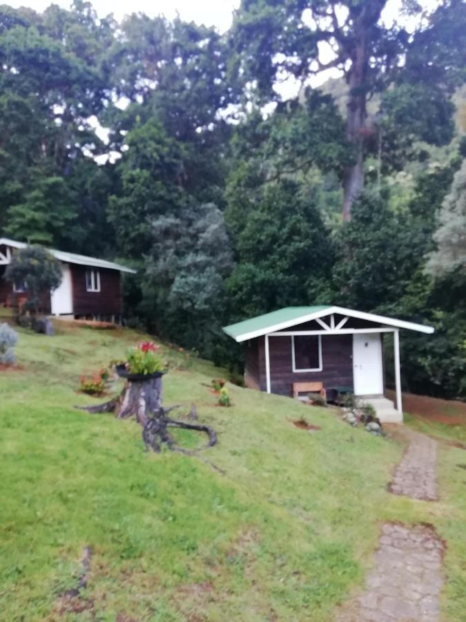Miriam'S Quetzals Lodge San Gerardo de Dota Extérieur photo