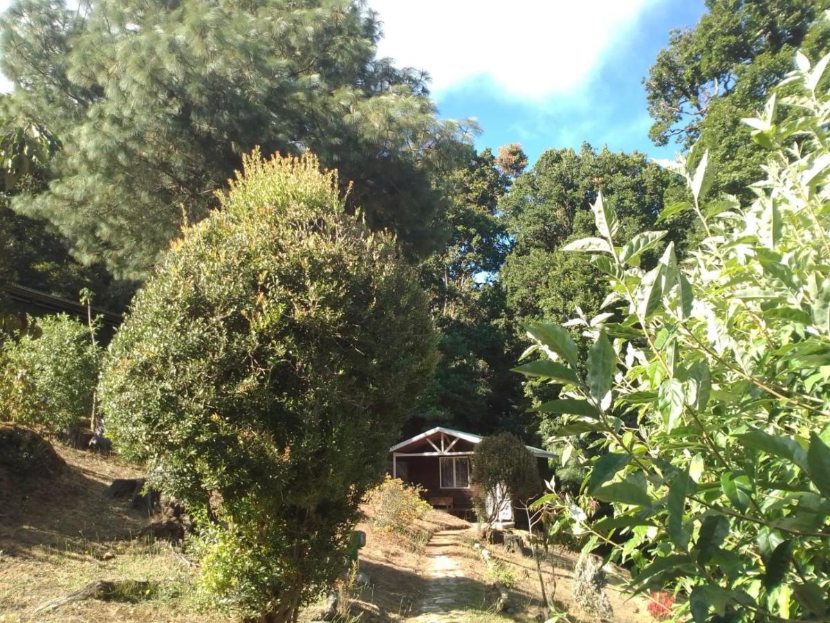 Miriam'S Quetzals Lodge San Gerardo de Dota Extérieur photo