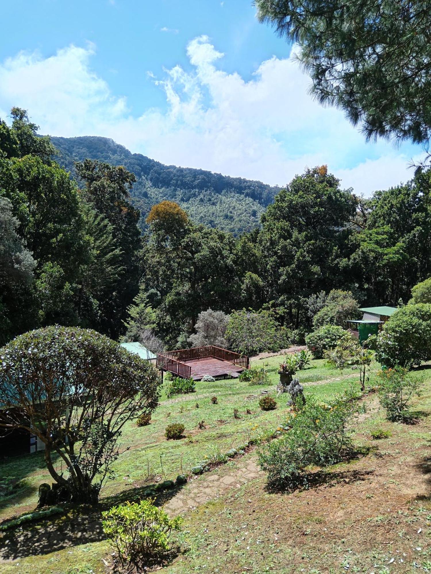 Miriam'S Quetzals Lodge San Gerardo de Dota Extérieur photo