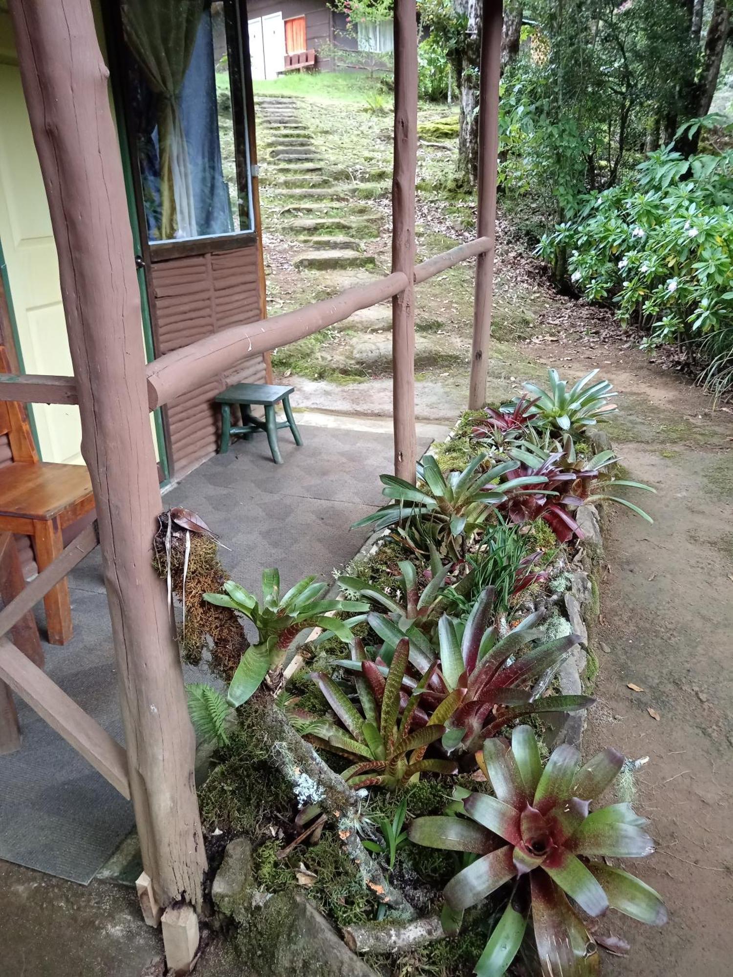 Miriam'S Quetzals Lodge San Gerardo de Dota Extérieur photo