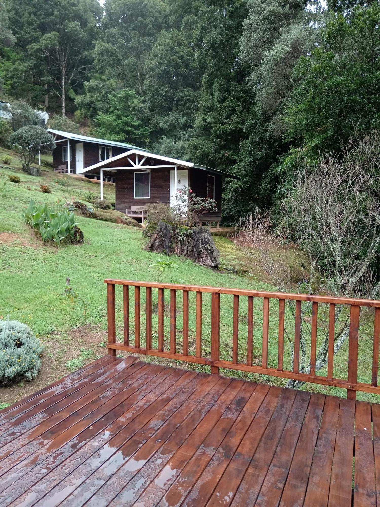 Miriam'S Quetzals Lodge San Gerardo de Dota Extérieur photo