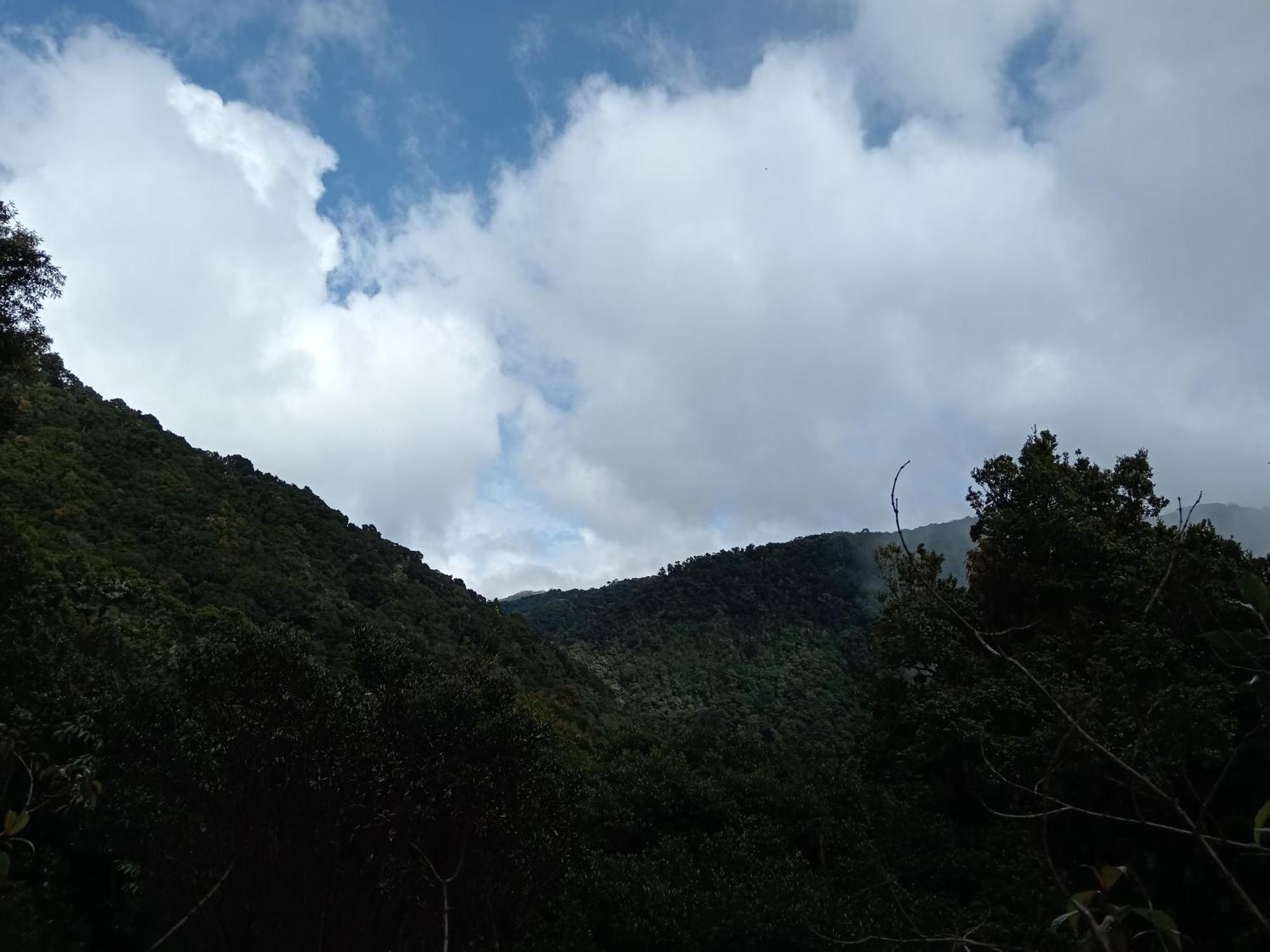 Miriam'S Quetzals Lodge San Gerardo de Dota Extérieur photo