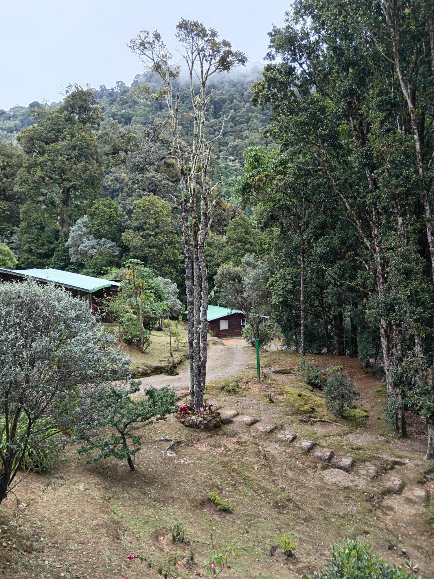Miriam'S Quetzals Lodge San Gerardo de Dota Extérieur photo