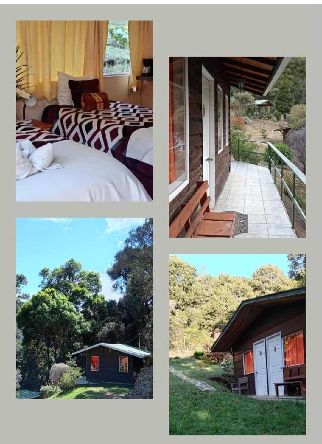 Miriam'S Quetzals Lodge San Gerardo de Dota Extérieur photo