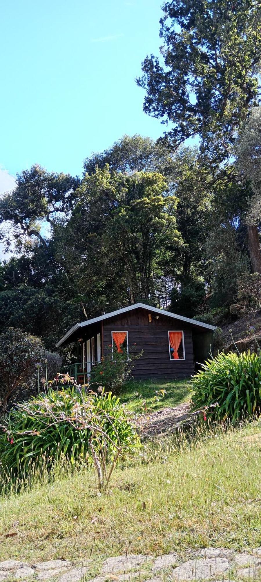 Miriam'S Quetzals Lodge San Gerardo de Dota Extérieur photo