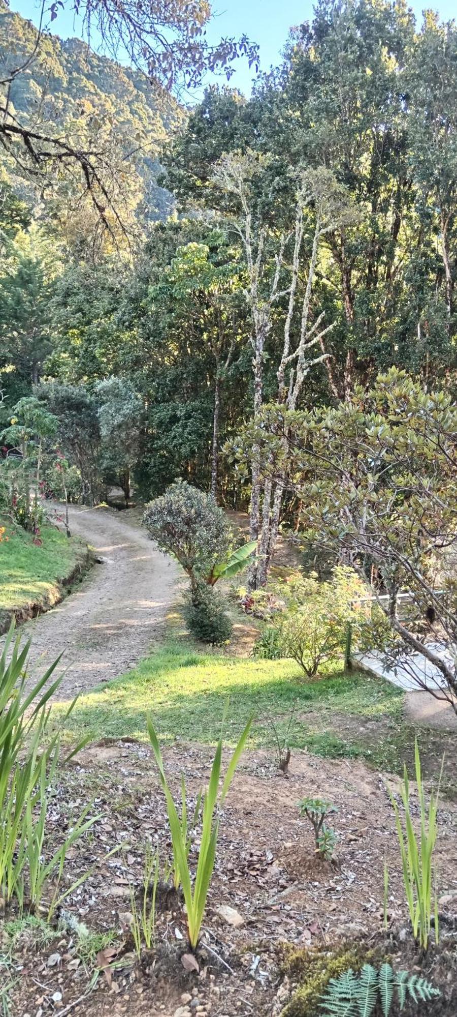 Miriam'S Quetzals Lodge San Gerardo de Dota Extérieur photo