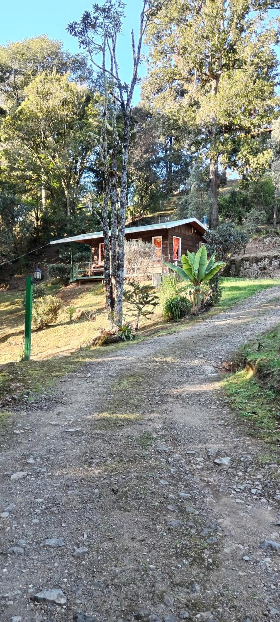 Miriam'S Quetzals Lodge San Gerardo de Dota Extérieur photo