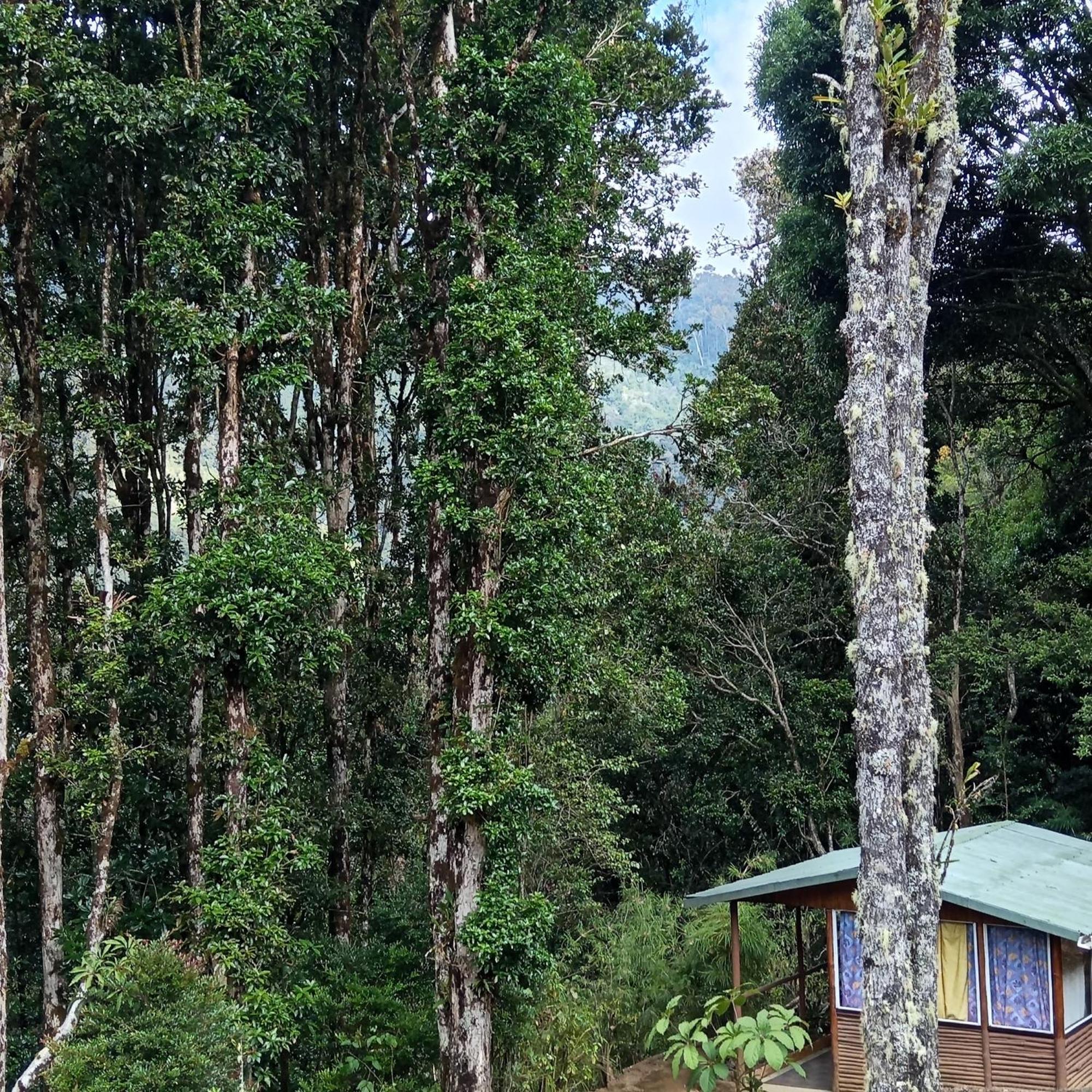 Miriam'S Quetzals Lodge San Gerardo de Dota Extérieur photo