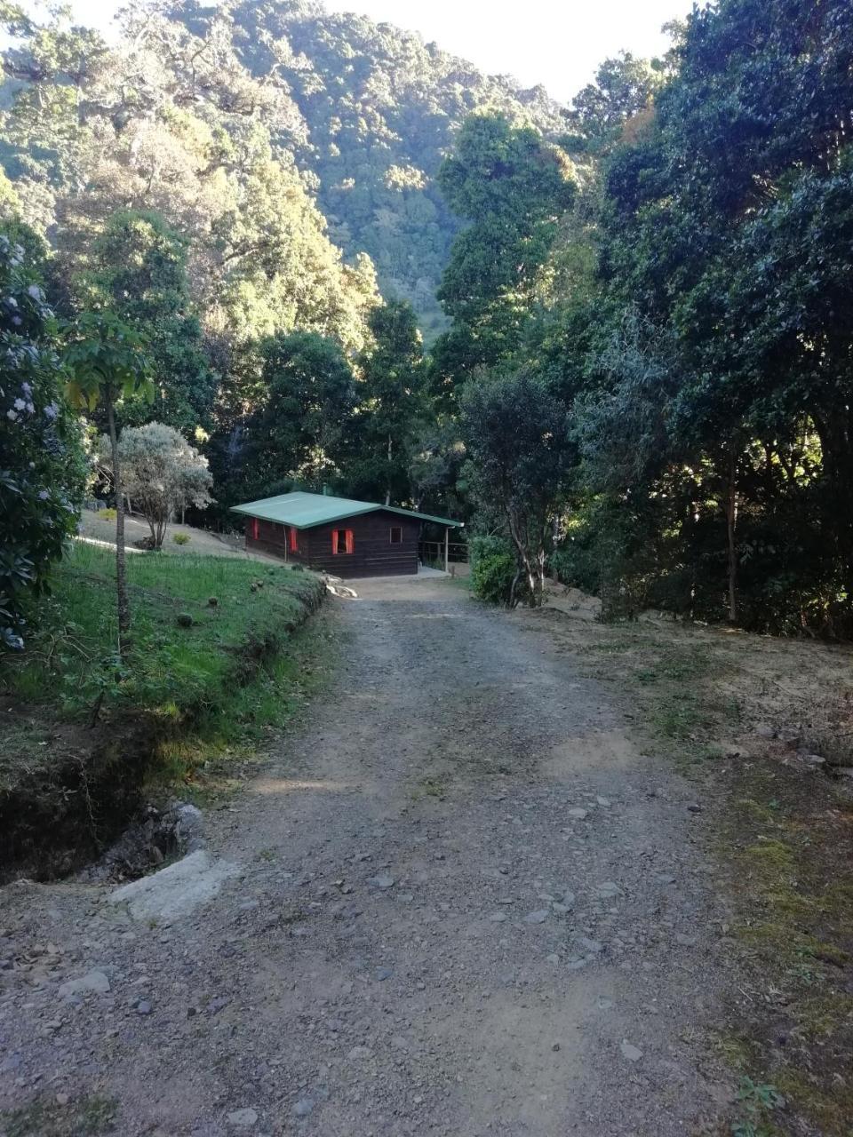 Miriam'S Quetzals Lodge San Gerardo de Dota Extérieur photo